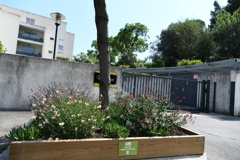 Aménagement en pied d'arbre