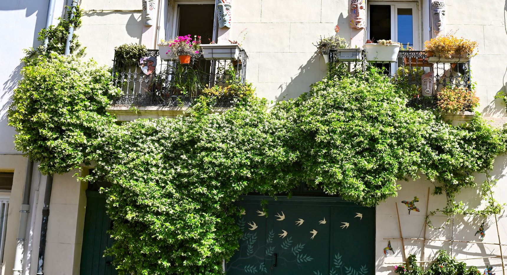 Façade végétalisée