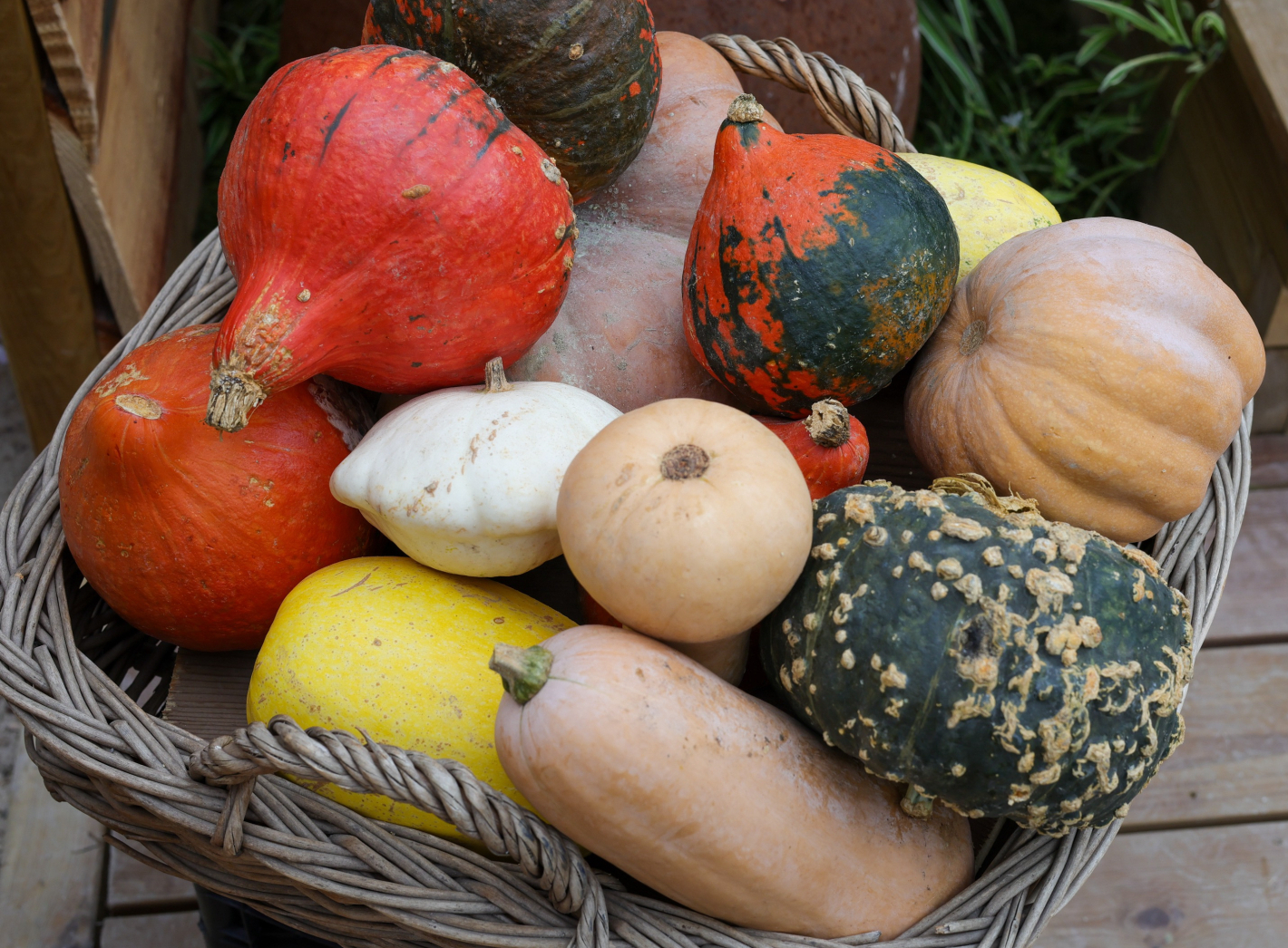 panier de courges