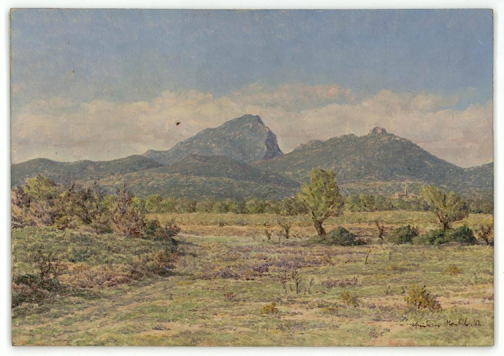 Pic Saint Loup et Hortus