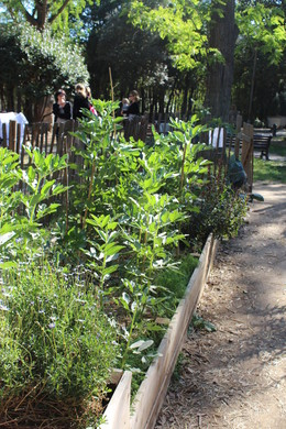 Atelier jardinage