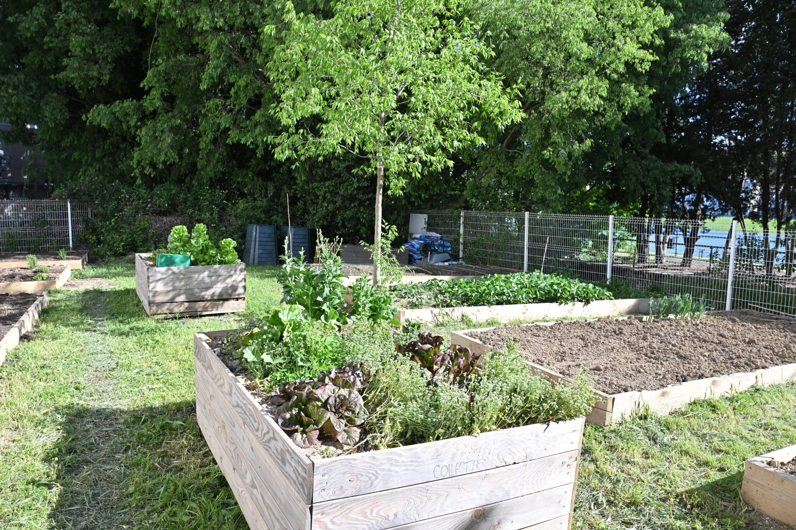 Le jardin partagé 