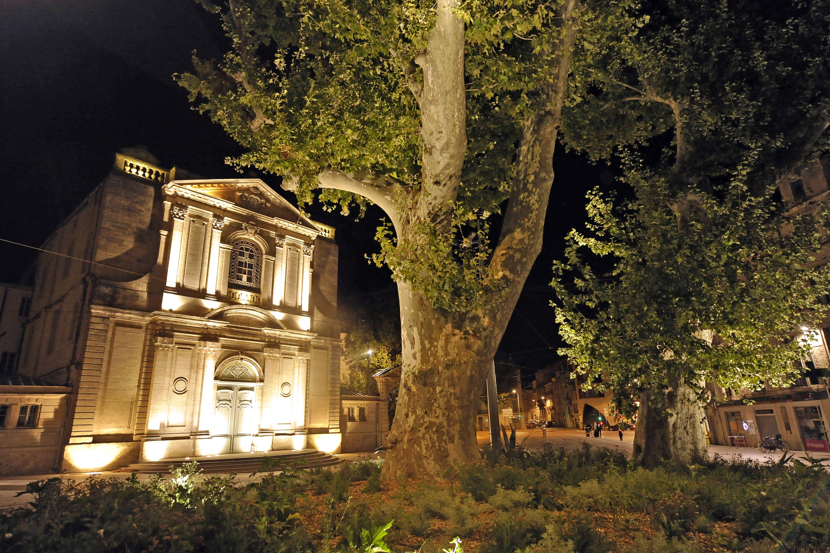 La place Albert 1er illuminée en 2017 par Philippe Hutinet and Sylvie Sieg dans le cadre de la création de la ligne 4 de tramway