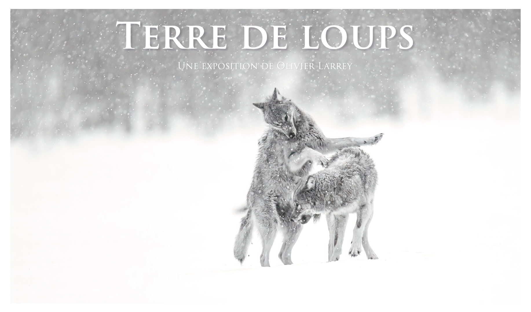 photo de l'exposition
