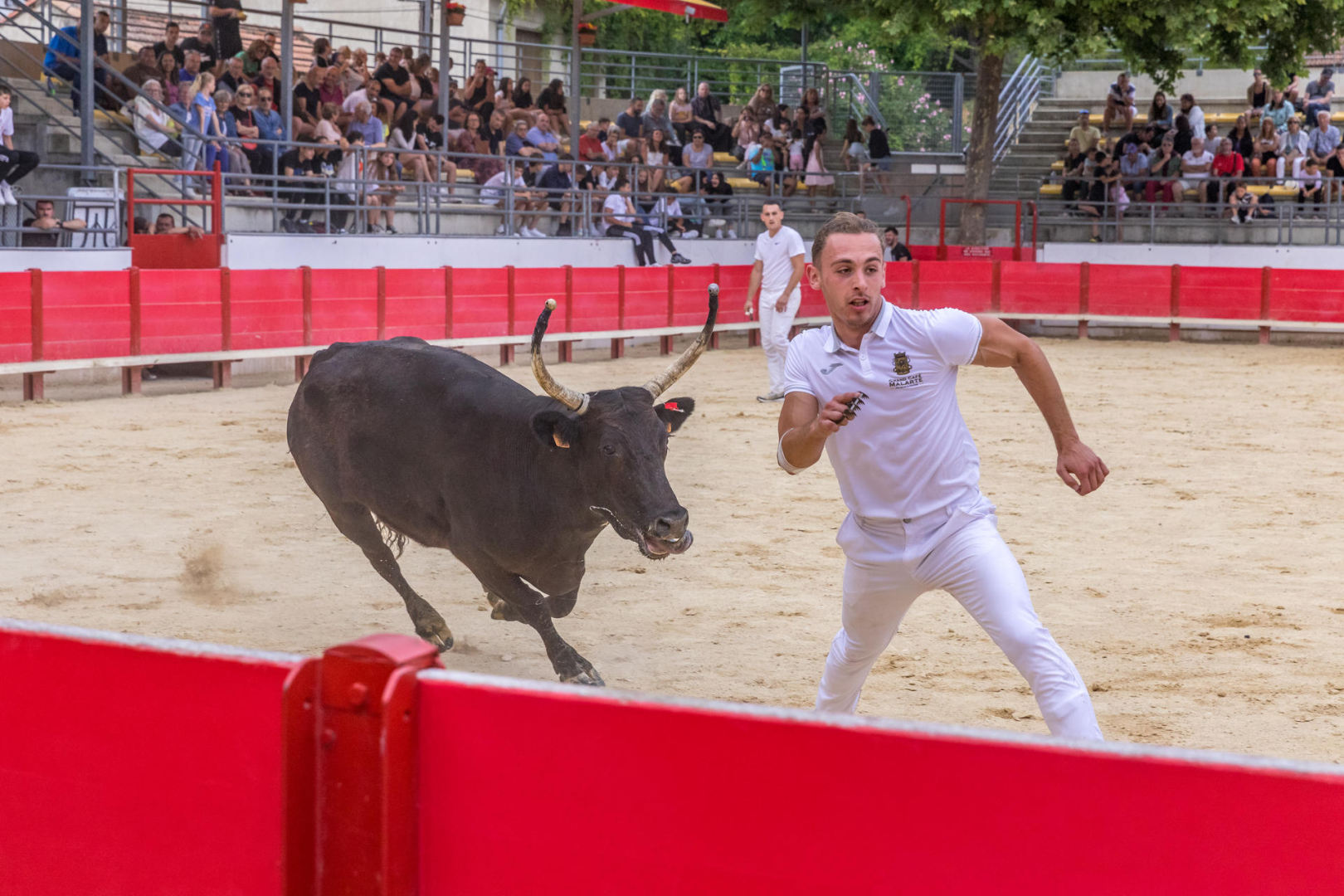un raseteur 