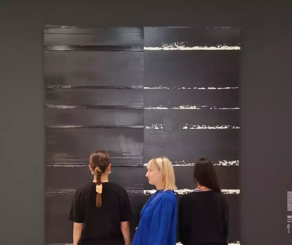 Déambulation chorégraphique de la Cie Singulier Pluriel