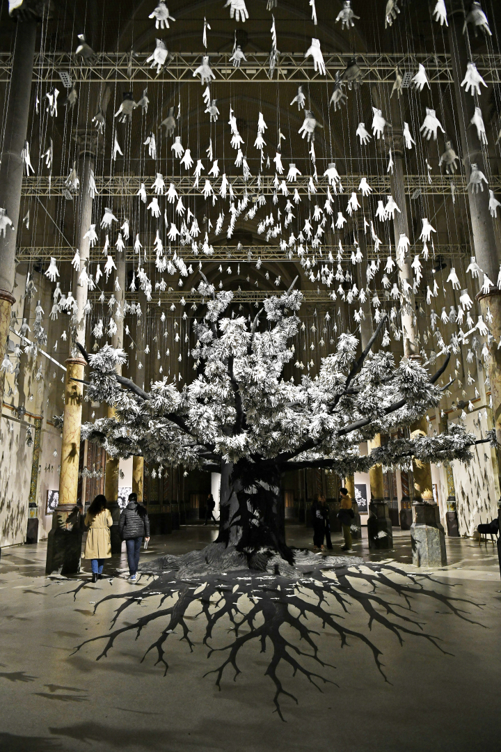arbre jr