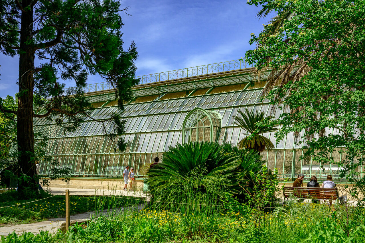 Serres Martins Montpellier