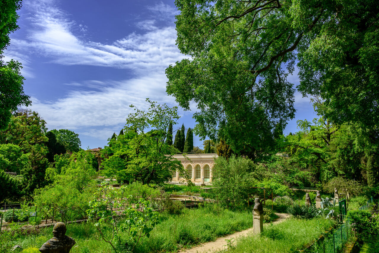 Orangerie Jardin des plantes Montpellier 