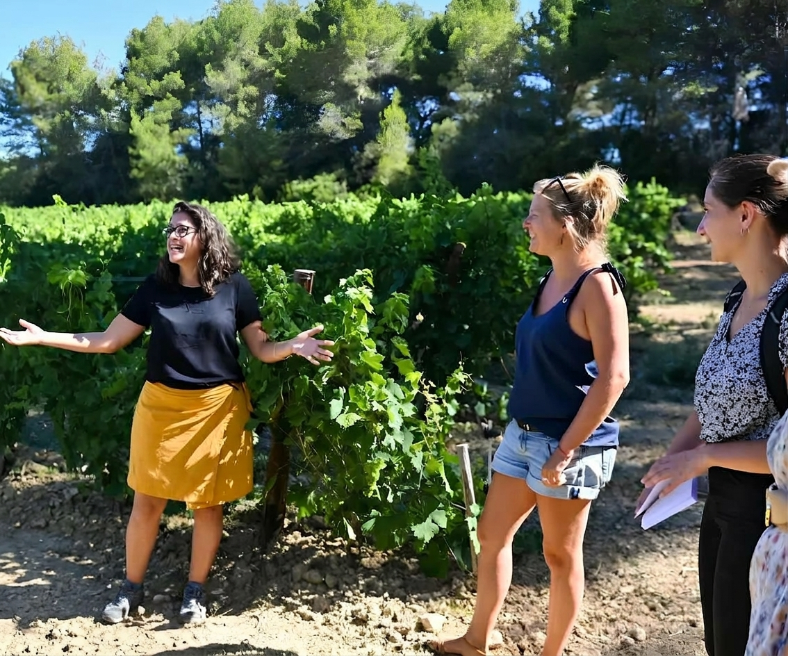 des personnes dans les vignes 