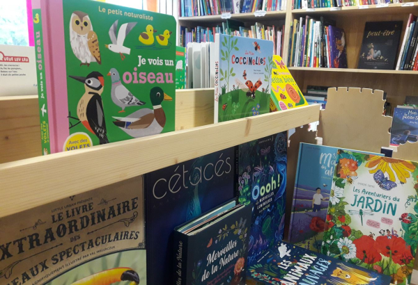 Vue intérieure de livres dans la librairie 