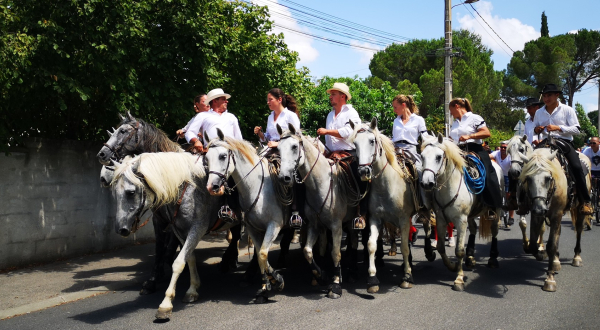 Photo de gardians à cheval